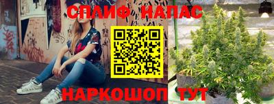 прущие крисы Анжеро-Судженск