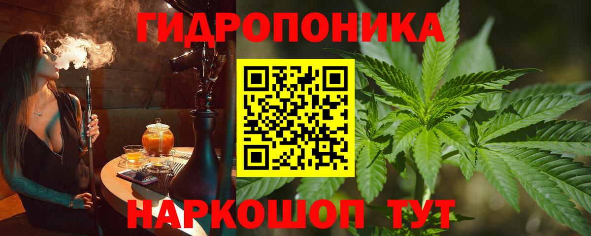 Конопля Ganja Псков